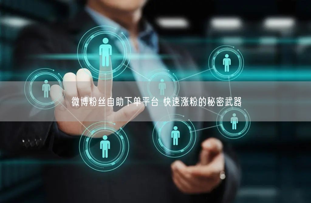 微博粉丝自助下单平台 快速涨粉的秘密武器