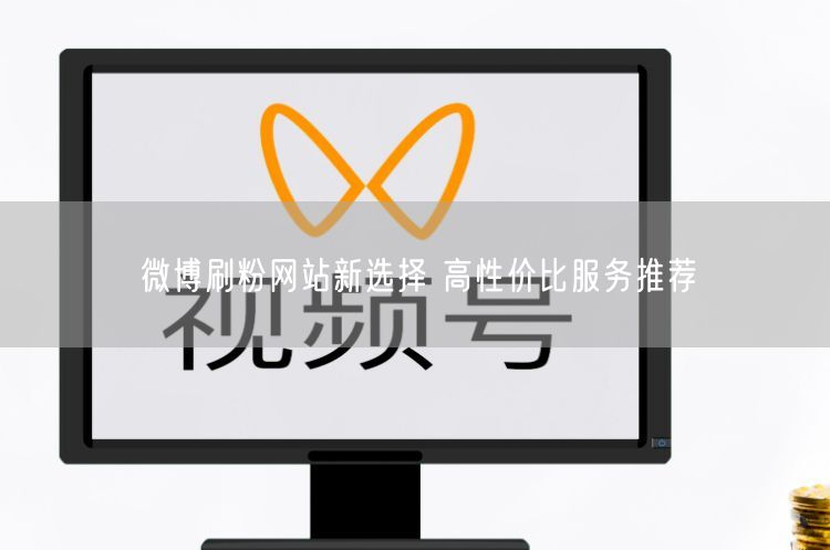微博刷粉网站新选择 高性价比服务推荐