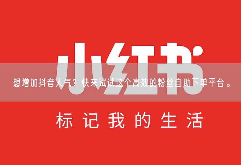 想增加抖音人气？快来试试这个高效的粉丝自助下单平台。