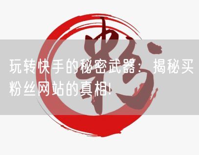 玩转快手的秘密武器：揭秘买粉丝网站的真相!