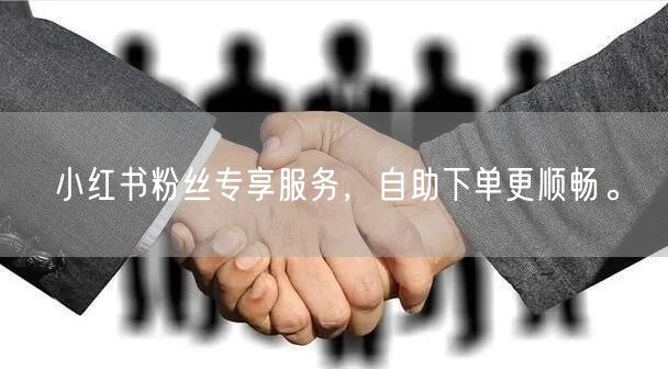 小红书粉丝专享服务，自助下单更顺畅。