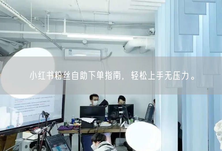 小红书粉丝自助下单指南，轻松上手无压力。